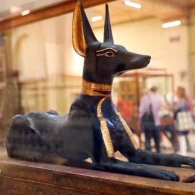 #صورة_جديدة_للملف_الشخصي
