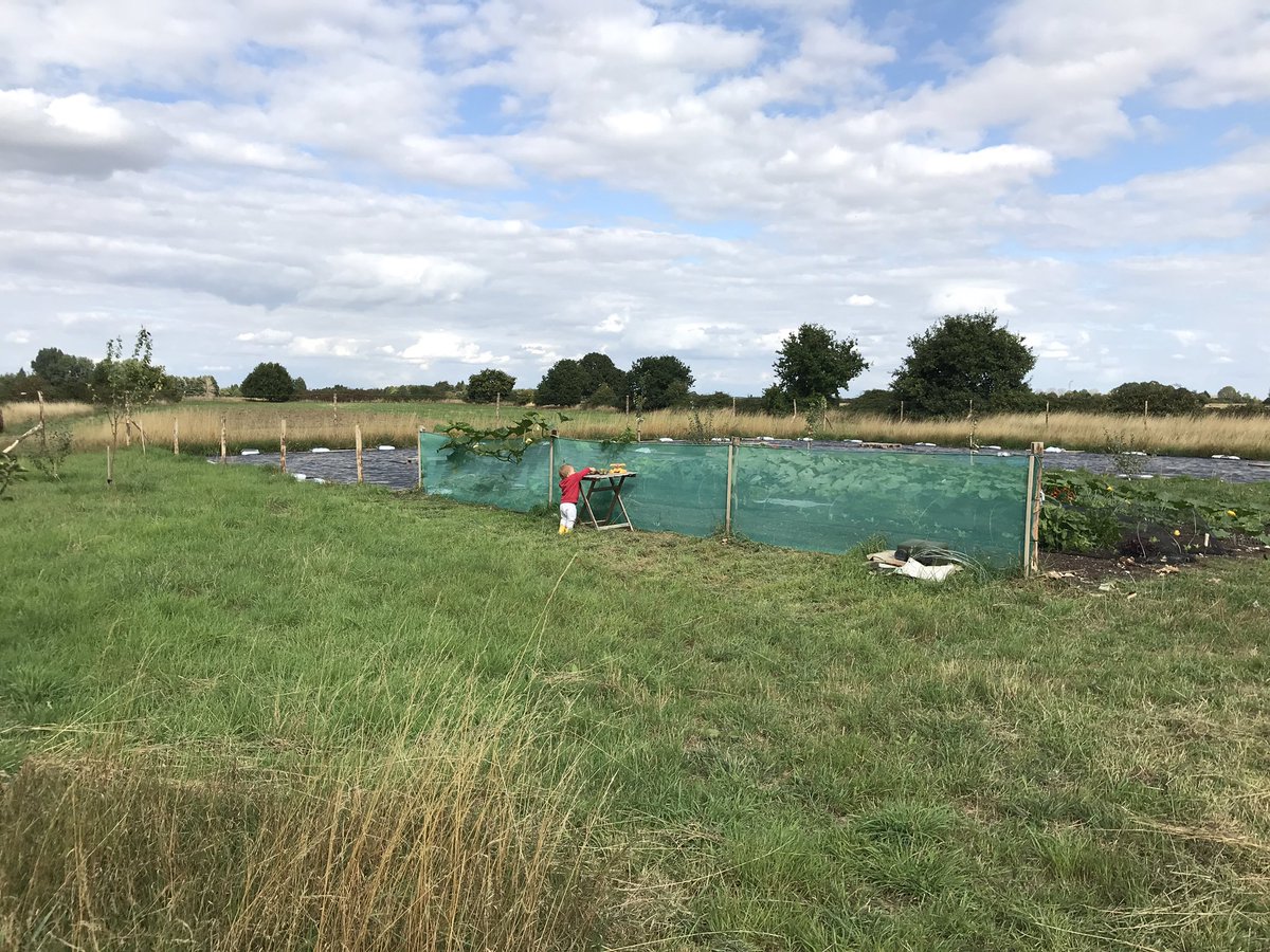 sixinchessoil's tweet photo. Producer @mackenzieclair2 visited stunning @briar_farm near Willingham, S Cambs. Their plans & visions for an #agroecological farm are inspiring. 🙏 for showing me around & look forward to seeing how your farm is #regenerated. #newentrants #nodig #localfood #smallfarmfuture https://t.co/Maa6LsoHRZ