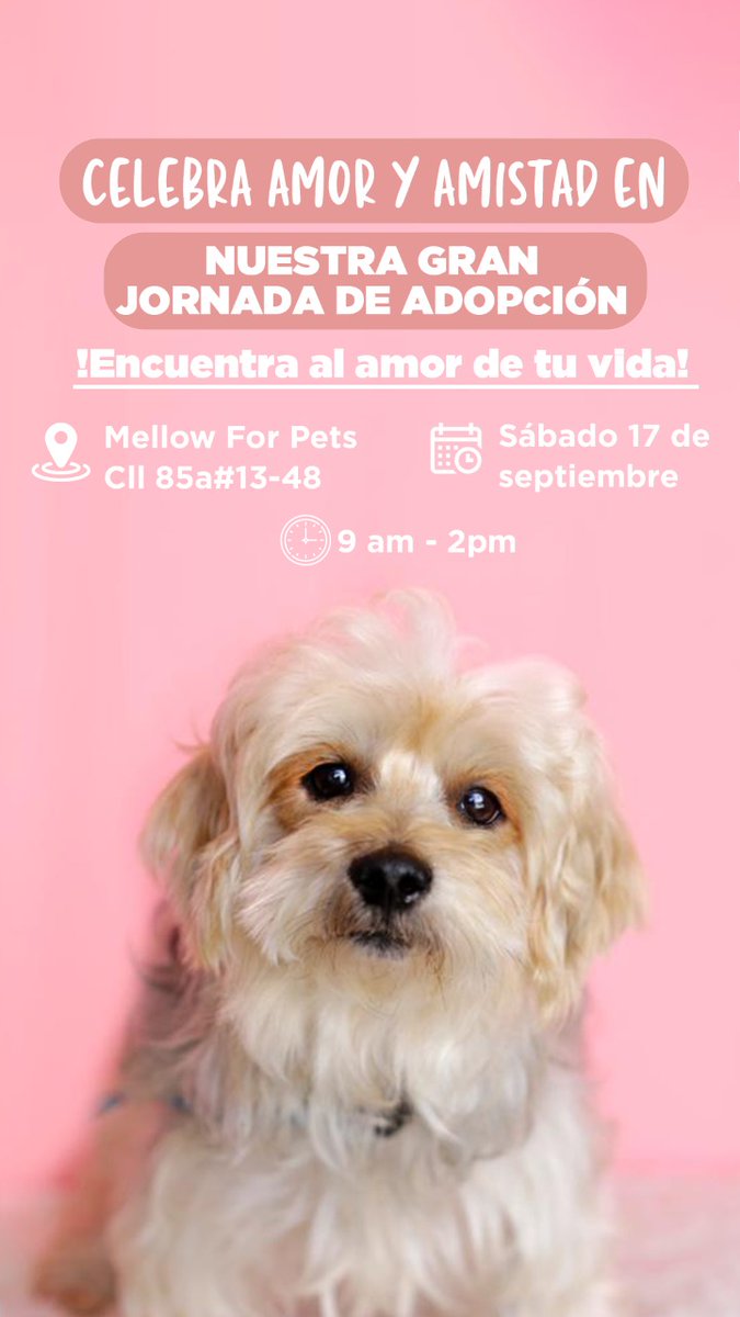 Este sábado disfruta de la compañía de todos nuestros peludos en Mellow For Pets, ¡Los esperamos en Nuestra Gran Jornada de Adopción! #jornadadeadopcion #adopcionresponsable #perros #difundir