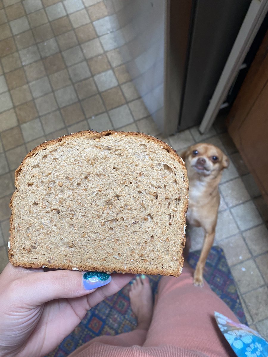 Hey <a href="/KillerBread/">Dave's Killer Bread</a> thought you should be alerted that this loaf of bread I bought almost broke a tooth, never had that happen before with the same type. I think someone mixed sand and concrete into this loaf 🦷