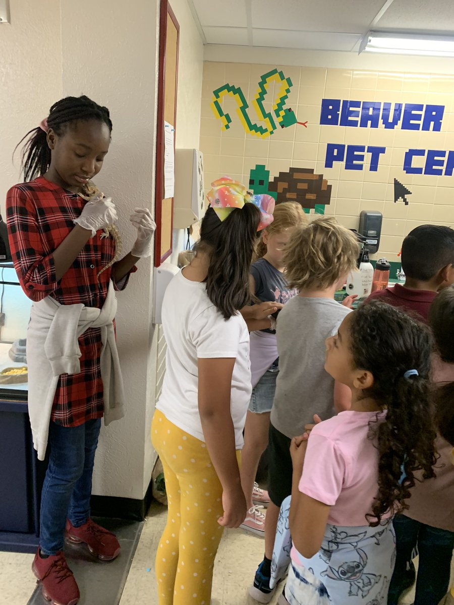 Kmartb02's tweet photo. We just completed our ELAR lesson on cold blooded and warm blooded animals! We were able to apply what we learned in our Pet Center! @BeaverMST_Stars https://t.co/HuBzQf6U1W
