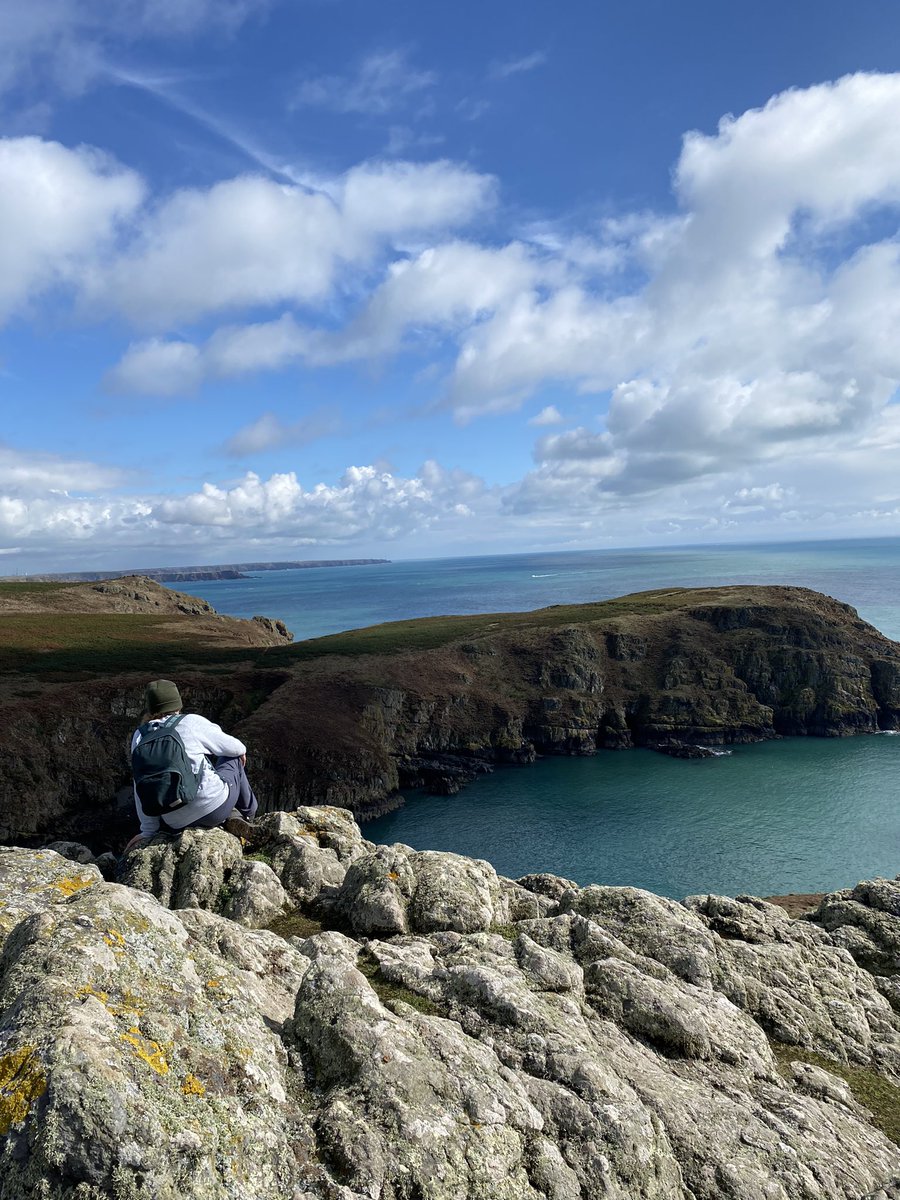 I had such an incredible time at skomer island last week, I’ve already signed up to volunteer for a week next year, and me and my family are planning a day trip in the spring. I’ve never wanted to be back somewhere so quickly #skomerisland #youngbirders