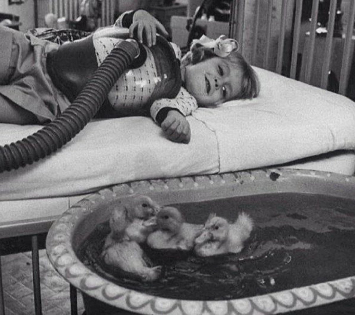 HistoryInPics's tweet photo. Ducklings being used as part of medical therapy in 1956. https://t.co/ls1porx9zl