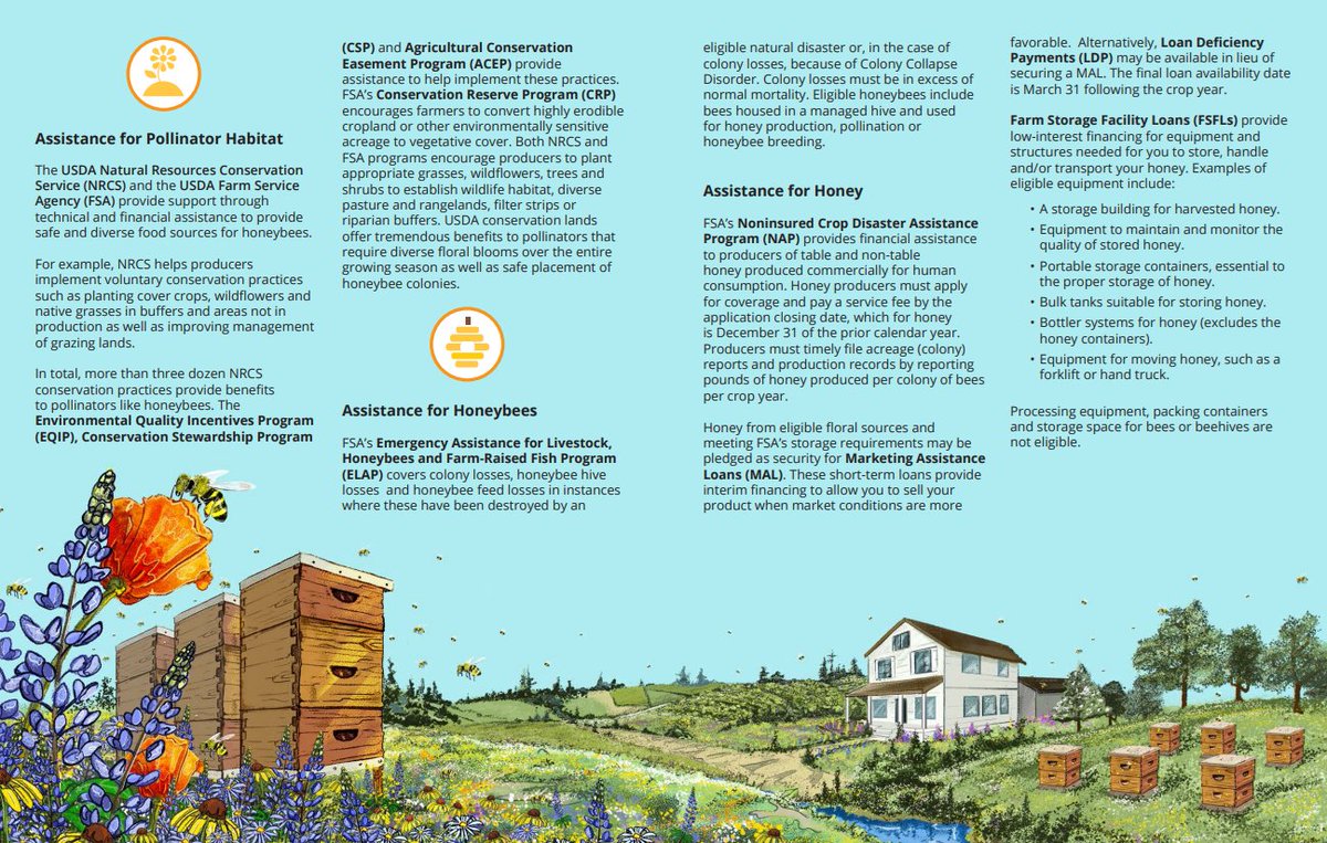 usdaFSA's tweet photo. We offer a variety of programs to help honey bees and those who care for them. https://t.co/jXeqHZFd0p #BeeInTheKnow https://t.co/IuMTwAigNQ