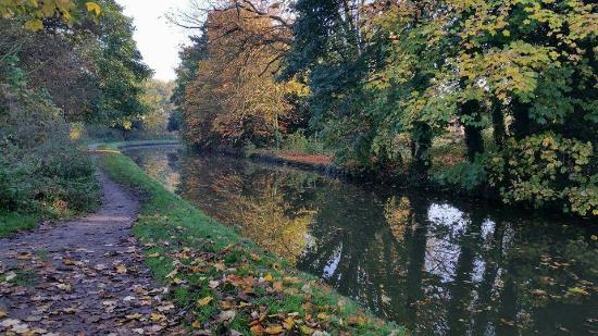 Fabian4 (@fabian4entries) on Twitter photo .<a href="/OctavianDroober/">OctavianDroobers</a> Octavian Droobers Orienteering Club's Pooley Country Park #orienteering event (01/10) entries are live #Fabian4Entries fabian4.co.uk/default.aspx?E⦠Pls RT .<a href="/OctavianDroober/">OctavianDroobers</a> Octavian Droobers Orienteering Club's Pooley Country Park #orienteering event (01/10) entries are live #Fabian4Entries fabian4.co.uk/default.aspx?E⦠Pls RT