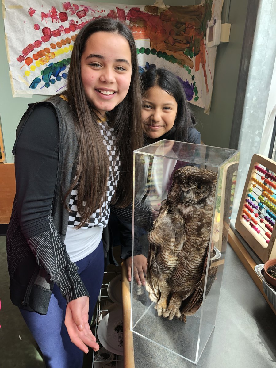 Gray Family Foundation tweet media