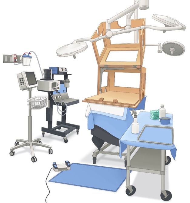 Recording of Pig Neuronal Activity in the Comparative Context of the Awake Human Brain. The UTSW Swine model for neurophysiological &amp; neural network activity studies. Honored to be part of this work! nature.com/articles/s4159… #nature #scientific_reports #neurosurgery <a href="/UTSWNeurosurg/">UTSW Neurosurgery</a>