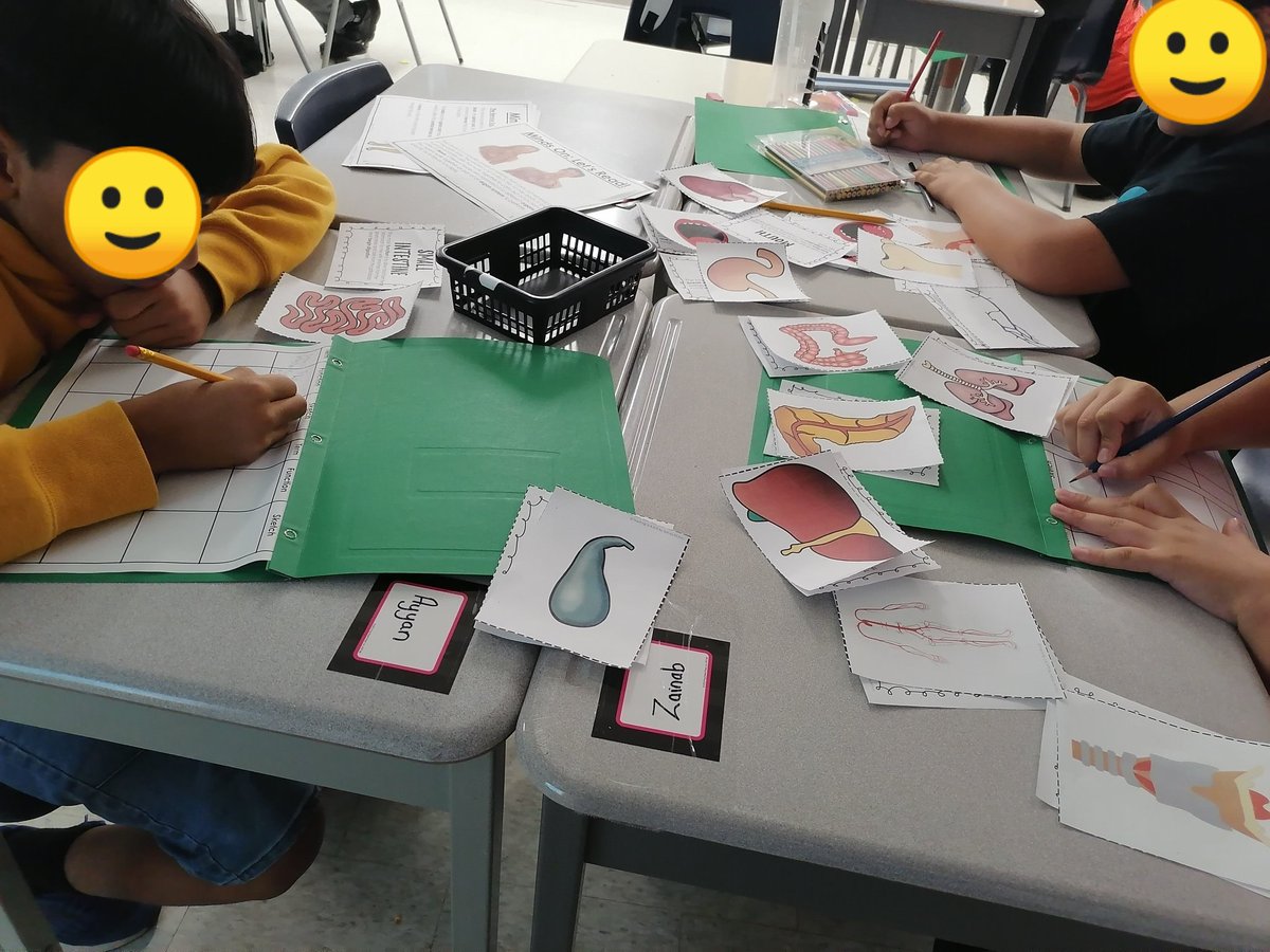 Today, Grade 5s worked in groups to match pictures with descriptions to learn about human organs.