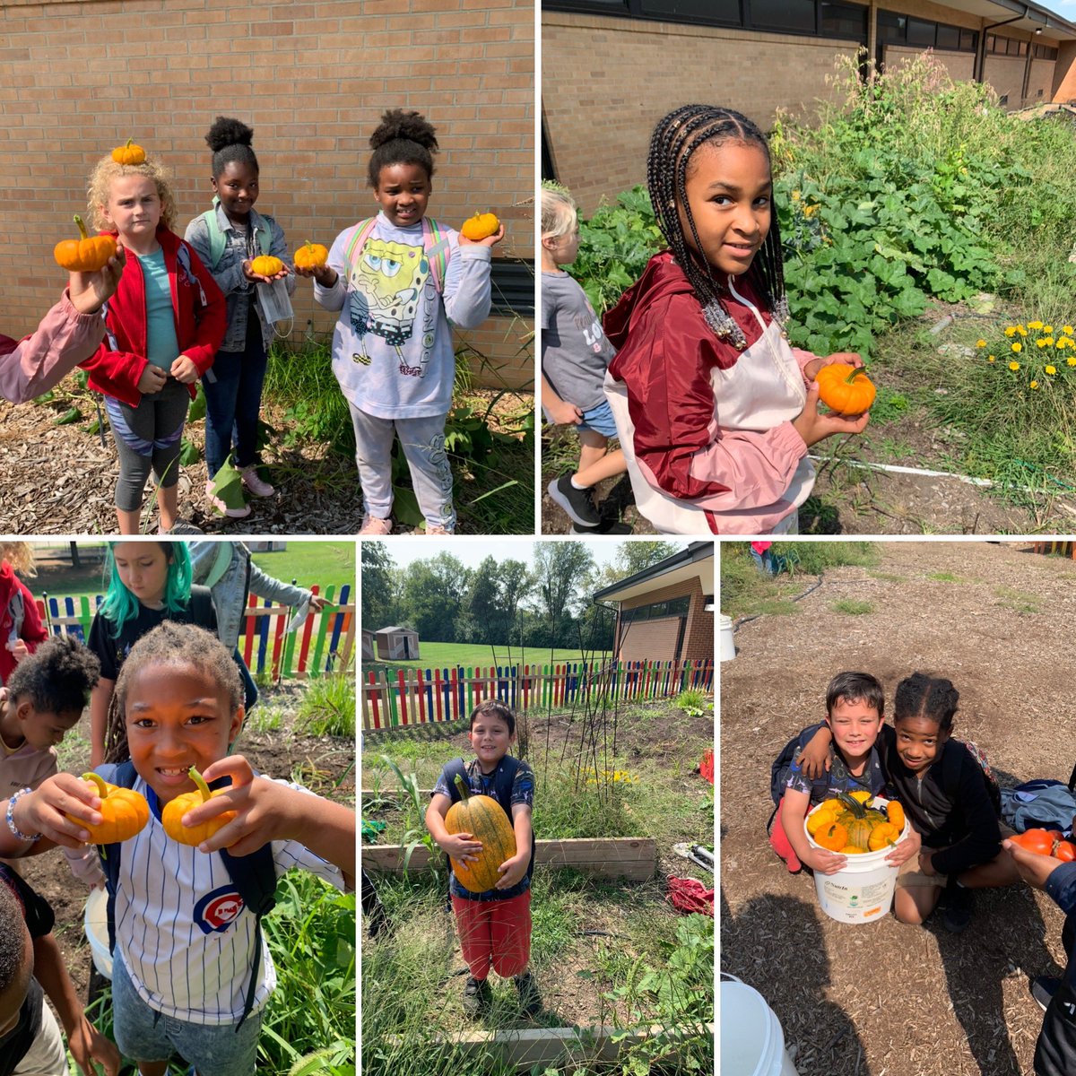hensongrade3's tweet image. Just saying hello from the Indian Creek pumpkin patch…#scienceisaverb #ThisishowweSTEM @IC2223