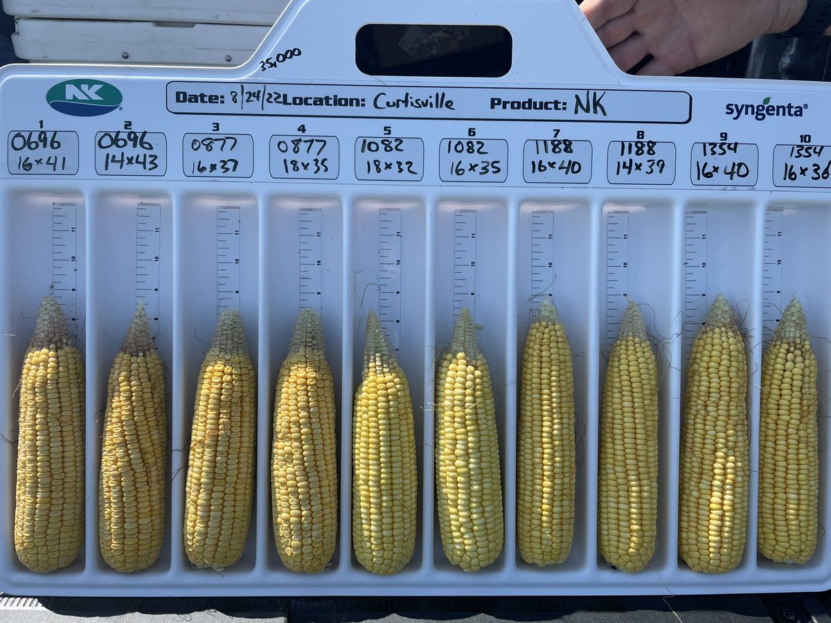 Indiana Corn tour stop #1 - Curtisville @NKGreatLakes