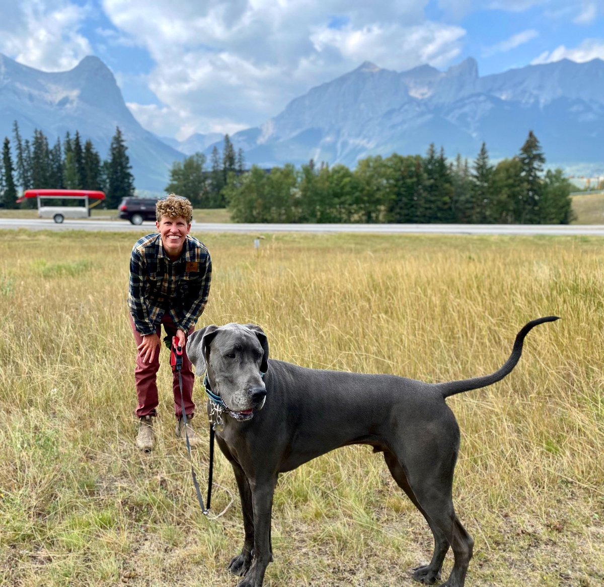 JanisIrwin's tweet photo. Ok everyone, this is Max.
Here are some #MaxFacts:
๐ I met him today in Canmore
๐ He never met a stick he didnโt like
๐ He weighs more than I do
๐ His human is named @ElmeligiSarah, and with your help, sheโll be the next @albertaNDP MLA for Banff-Kananaskis!
#ableg https://t.co/3rGjetuavR