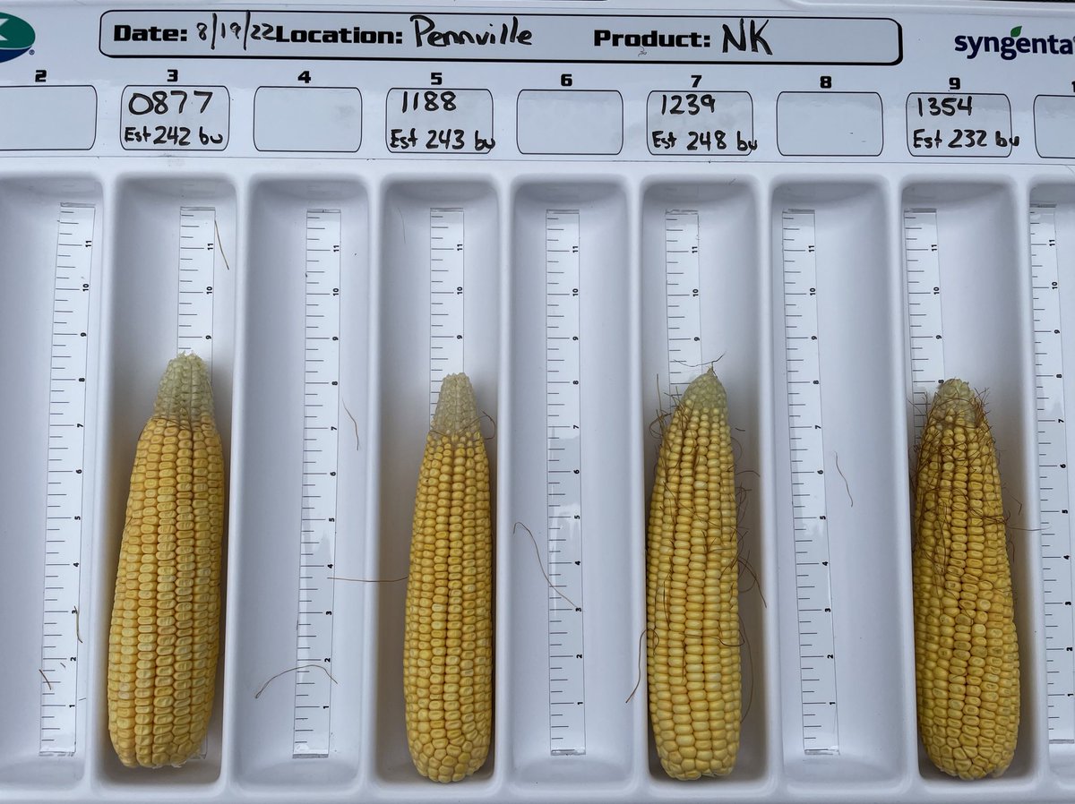 Indiana Corn Tour Stop #2
@NKGreatLakes