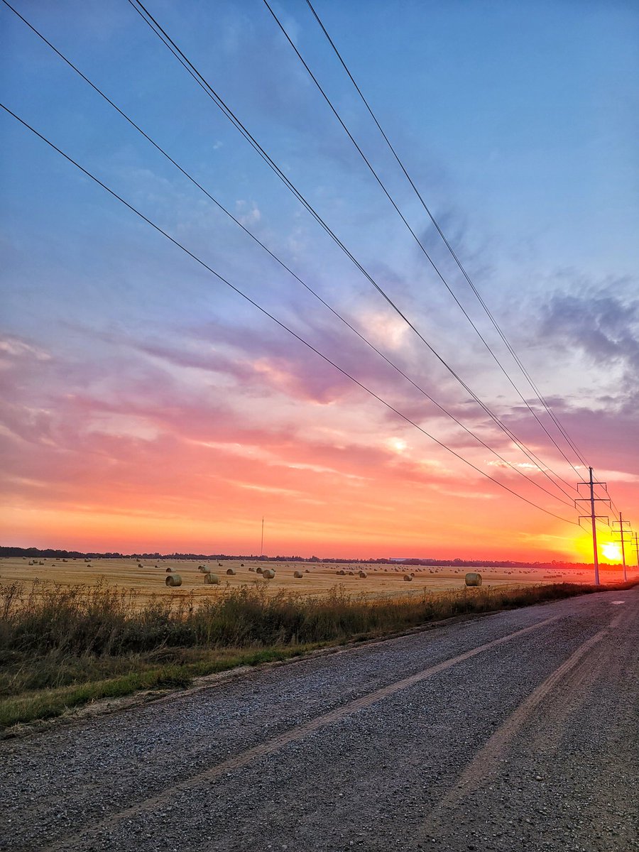 Dirt roads and sunsets are how you should start your day! #Recommend #taketheroadlesstraveled #sunrise #alberta