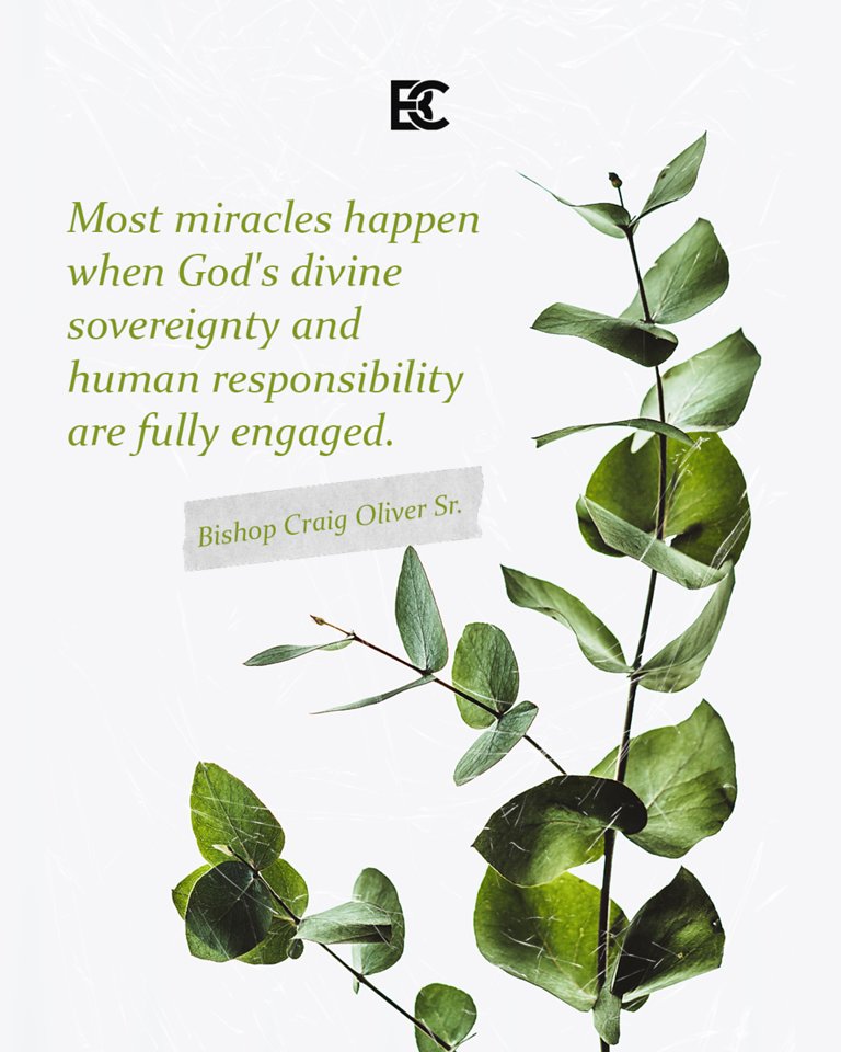 EbcInYourCity's tweet photo. Wait in hope. Respond in faith.
God wants to involve you in accomplishing His miracles!✨
#Unhindered #EBCInYourCity #EBCCares #RespondInFaith #Miracles https://t.co/3MZr54tbyp