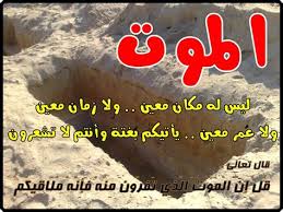 الكنج اليماني (@alking4664366) on Twitter photo 