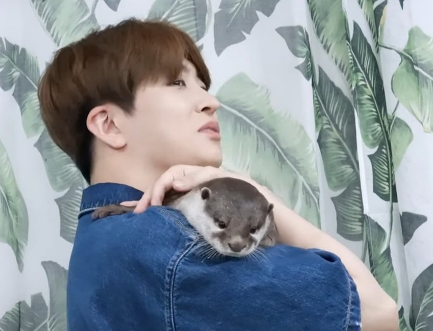 moonsdimple's tweet photo. I just really logged in to fangirl with these photos. I CAN'T HELP IT!!! @GOTYJ_Ars_Vita don't you ever say that the Otters will feel bad if they'll be compared to you. You're our resident Otter!! I love you always 퉤달 🥰🦦

#GOT7 #Youngjae #Otter #퉤달 https://t.co/u0rH9Uh975