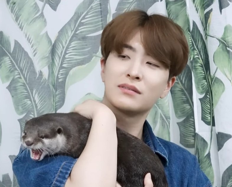 moonsdimple's tweet photo. I just really logged in to fangirl with these photos. I CAN'T HELP IT!!! @GOTYJ_Ars_Vita don't you ever say that the Otters will feel bad if they'll be compared to you. You're our resident Otter!! I love you always 퉤달 🥰🦦

#GOT7 #Youngjae #Otter #퉤달 https://t.co/u0rH9Uh975