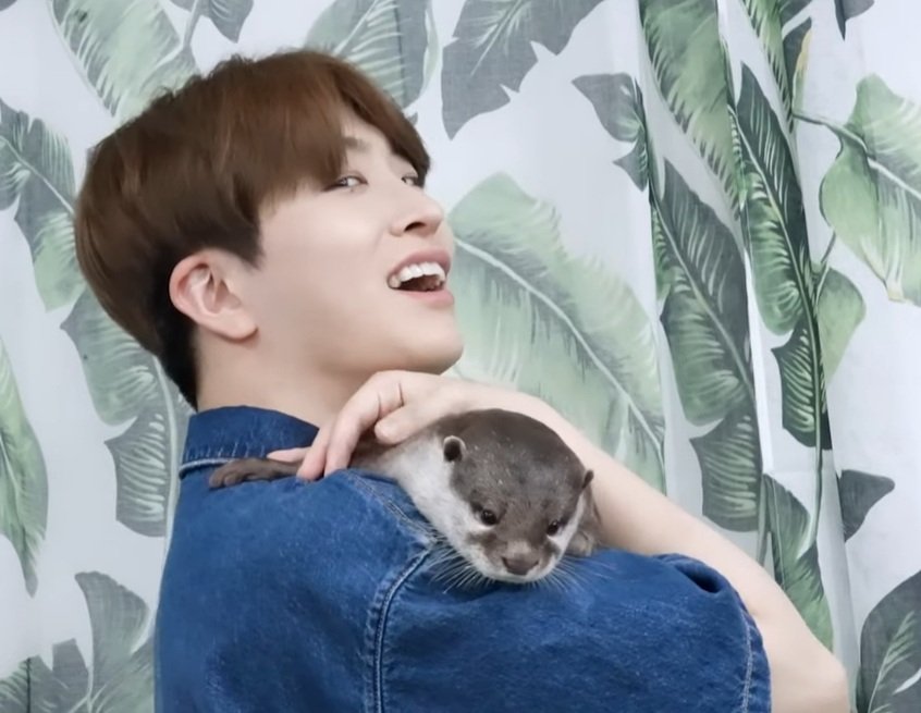moonsdimple's tweet photo. I just really logged in to fangirl with these photos. I CAN'T HELP IT!!! @GOTYJ_Ars_Vita don't you ever say that the Otters will feel bad if they'll be compared to you. You're our resident Otter!! I love you always 퉤달 🥰🦦

#GOT7 #Youngjae #Otter #퉤달 https://t.co/u0rH9Uh975