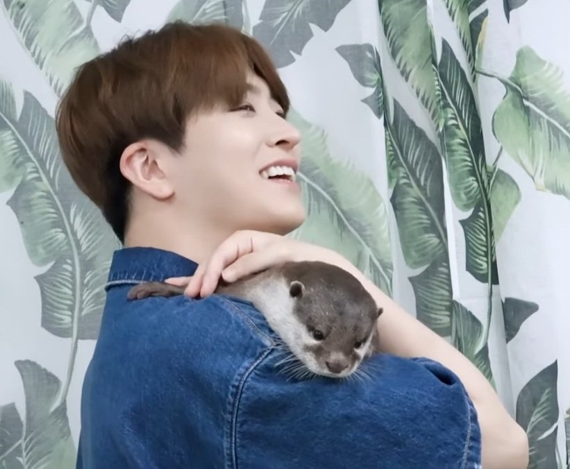 moonsdimple's tweet photo. I just really logged in to fangirl with these photos. I CAN'T HELP IT!!! @GOTYJ_Ars_Vita don't you ever say that the Otters will feel bad if they'll be compared to you. You're our resident Otter!! I love you always 퉤달 🥰🦦

#GOT7 #Youngjae #Otter #퉤달 https://t.co/u0rH9Uh975