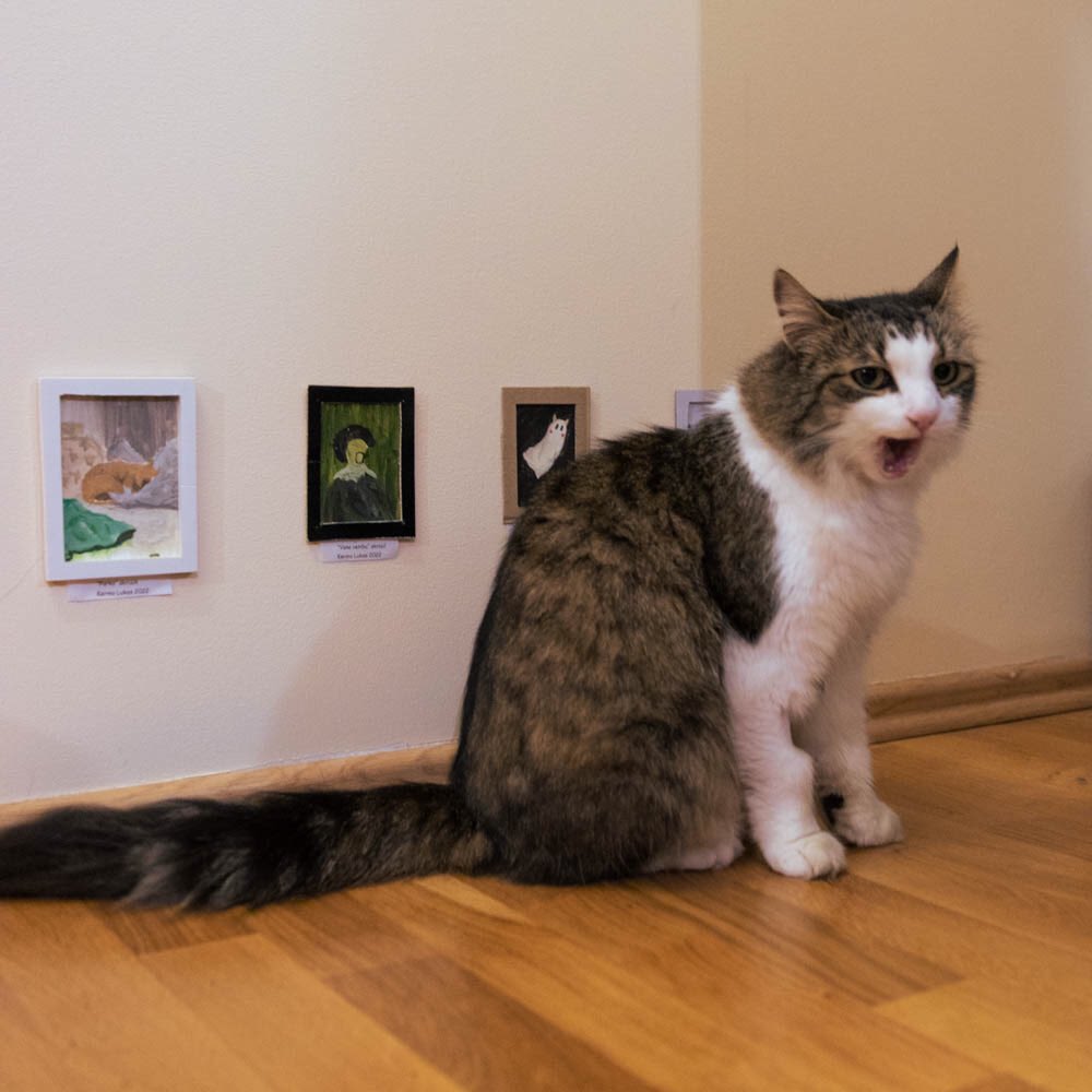 3. kassi näitus, not ammused