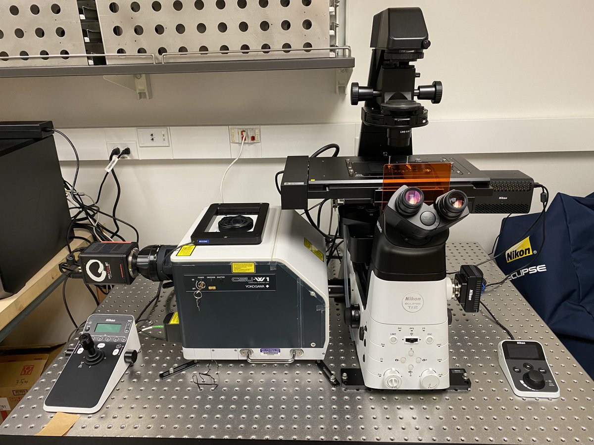SimpsonLabUW's tweet photo. We are #hiring! Excited to #recruit a #postdoc research fellow to work w/us @DermatologyUW @UWMedicine. Our lab is located @ the lovely #SouthLakeUnion campus in #Seattle, where we benefit from amazing resources &amp; collab opportunities w/@UWISCRM. Join us! https://t.co/zdNwZIgffx https://t.co/J0uoImrJWE