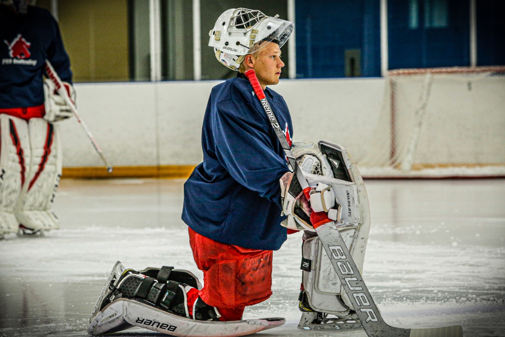 PRO Goaltending tweet media