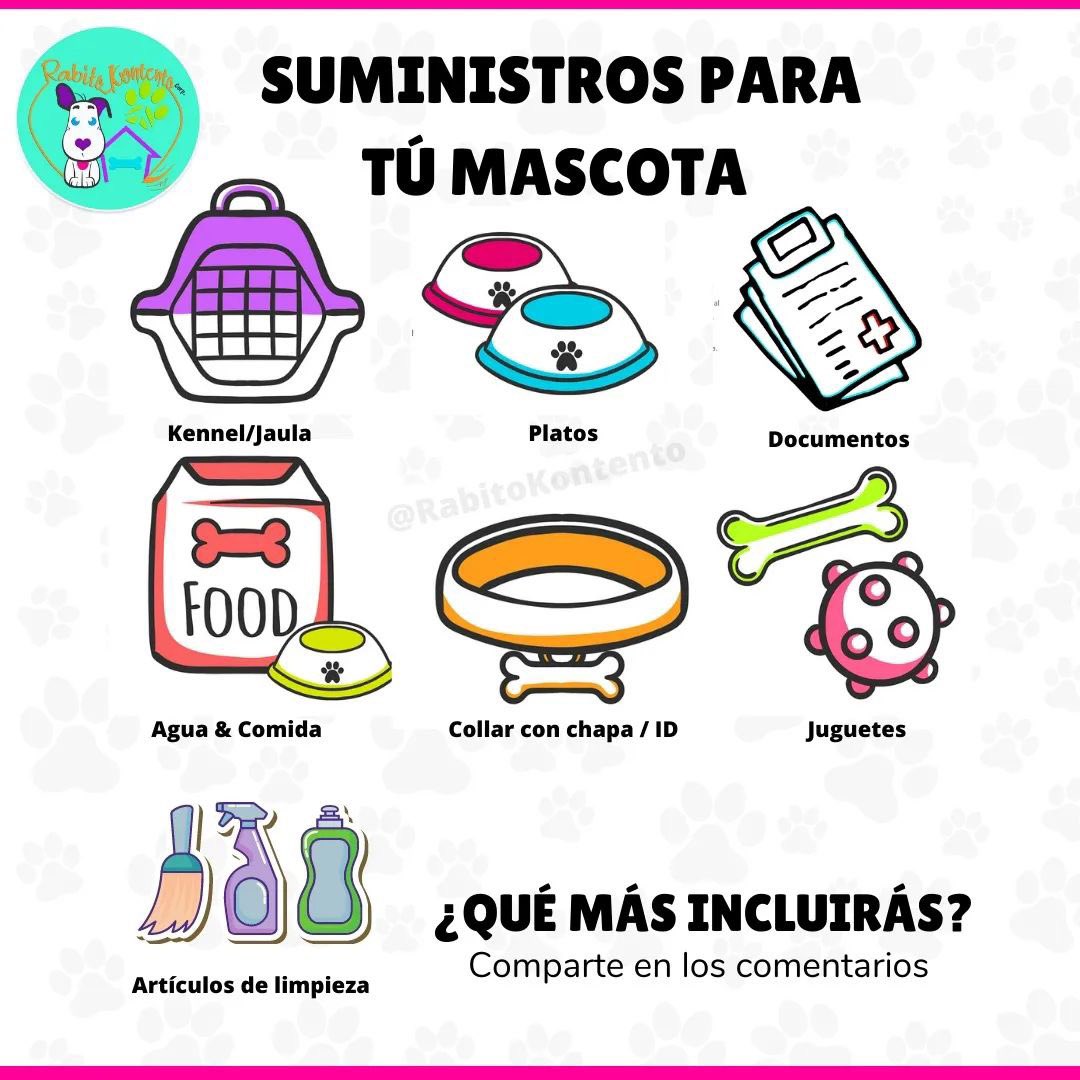 rabitokontento's tweet photo. Puerto Rico se encuentra bajo VIGILANCIA DE TORMENTA.Debes incluir las mascotas en los https://t.co/u2KeVglyoJ los dejes amarrados ni expuestos a la tormenta.TU puedes resguardar un callejerito Qué más incluyes en tus suministros para tu mascota? en los comentarios https://t.co/hgfTfoRIur