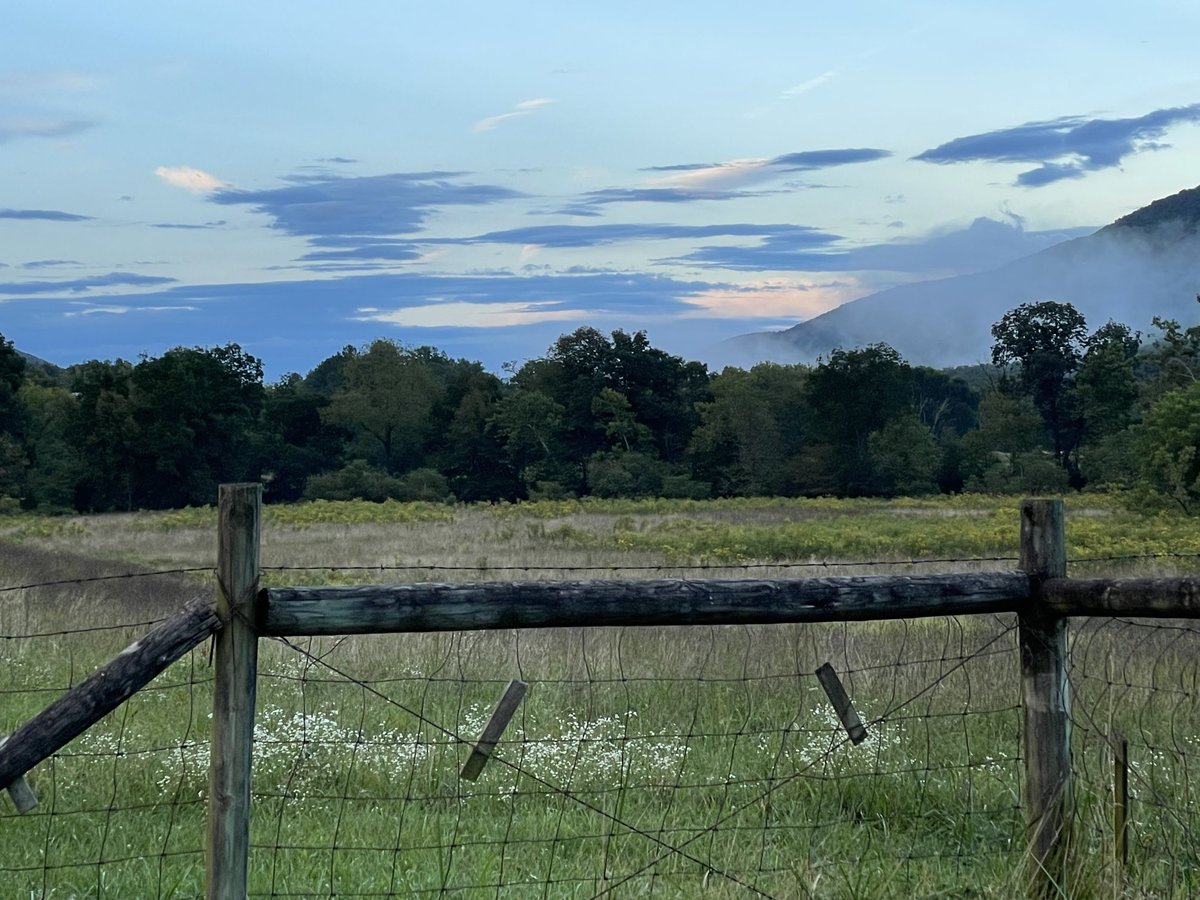 joloko58's tweet photo. Sometimes the most mundane becomes beautiful https://t.co/REAvhnVqq1