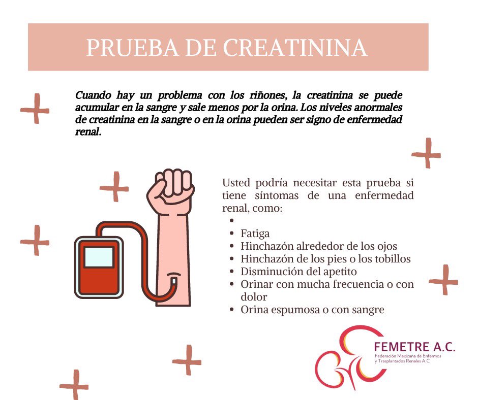 FEMETREAC1's tweet photo. La prueba de creatinina puede ayudarnos a ver cómo están funcionando nuestros riñones #prevencion https://t.co/tnHK6Zi7jm