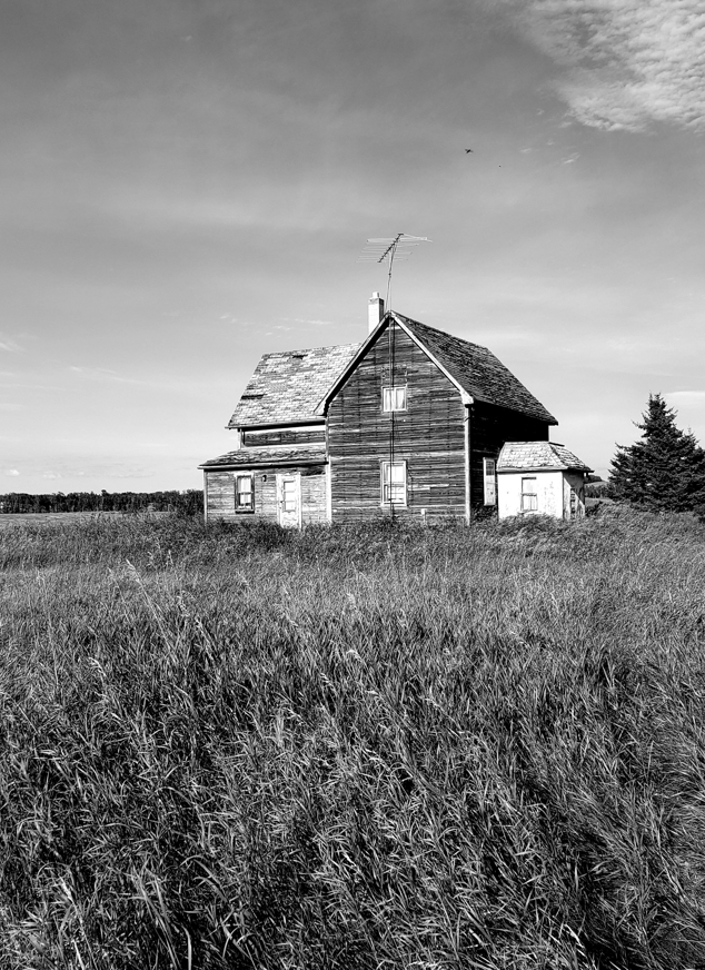 UrbaneForester's tweet photo. @Yaacov97531 On the prairies https://t.co/x0yWUTbgIp