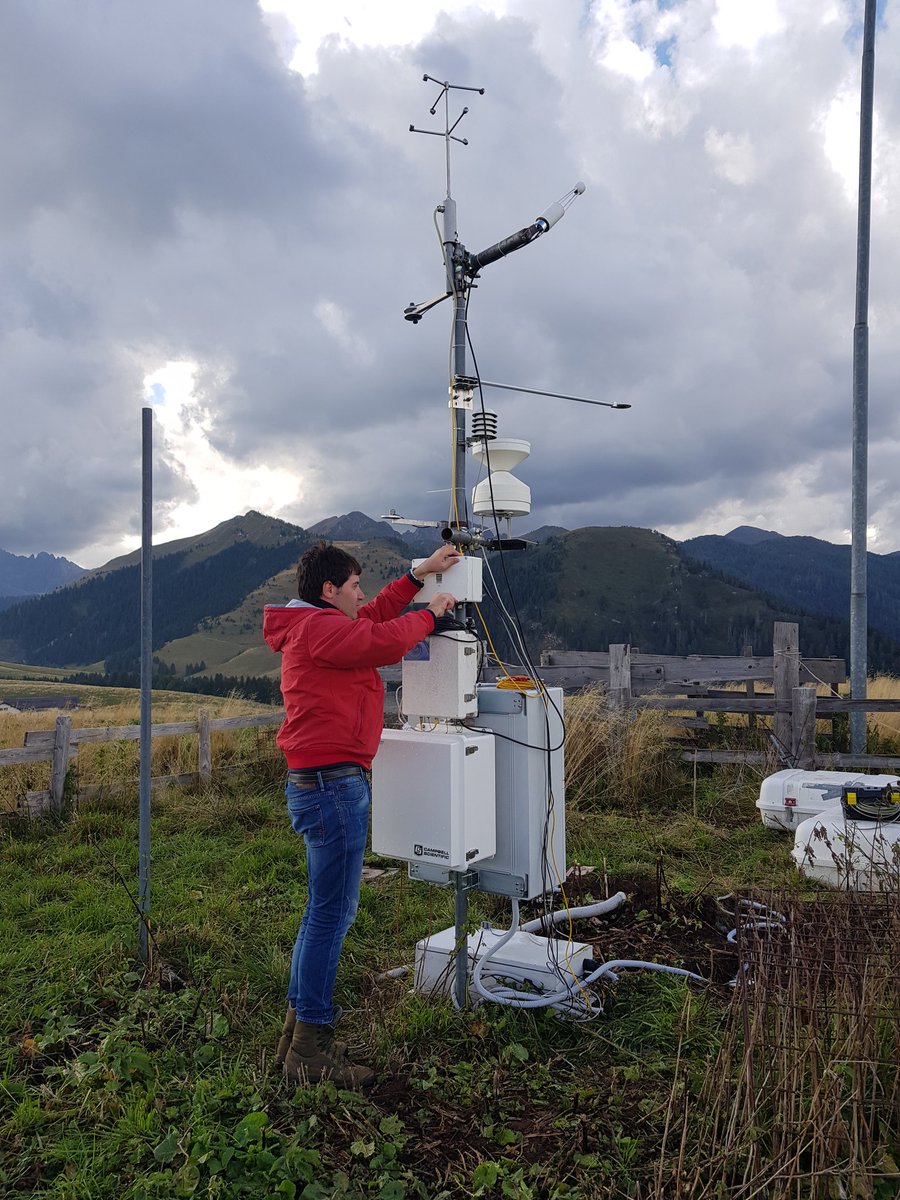 Olga Gavrichkova tweet media