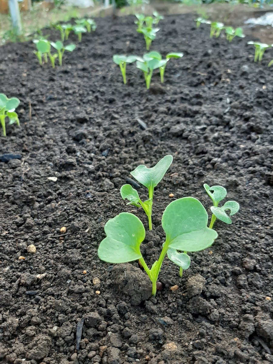 おはようございます☀️😃
素敵な１日を🌈
