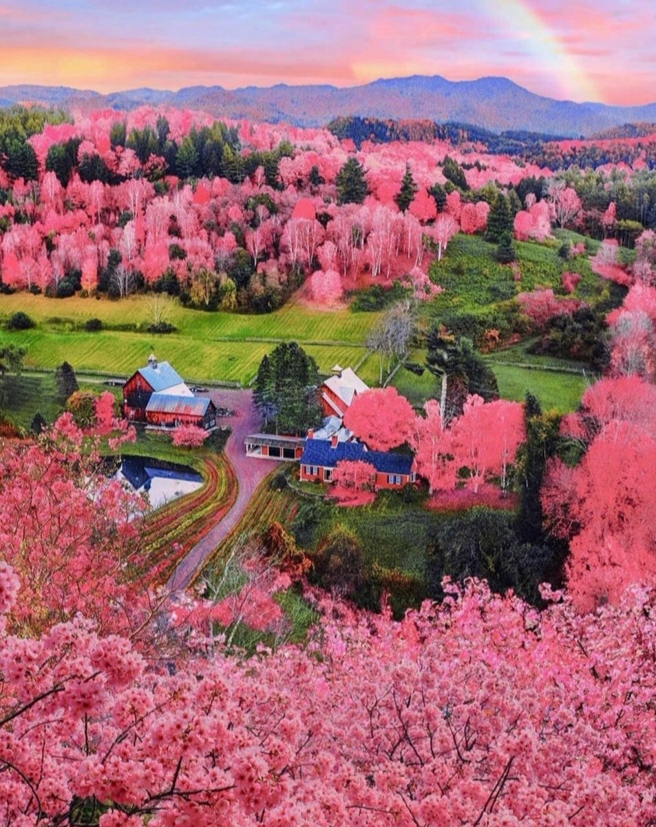 Good morning everyone, wishing you a wonderful Friday of happiness, my dear friends from all over the world ☕🌸🌺🎋💗💚🤗