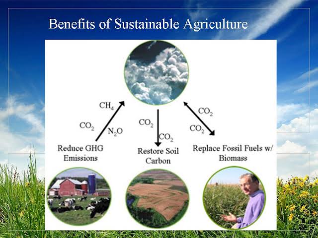Ishanam2's tweet photo. Holistic production management systems that promote &amp; enhance agro-ecosystem health that are socially, ecologically and economically sustainable are necessary in order to protect our soils while maintaining high productive capacities #SaveSoil @cpsavesoil @SadhguruJV @UNCCD https://t.co/wHgI5wkYwX