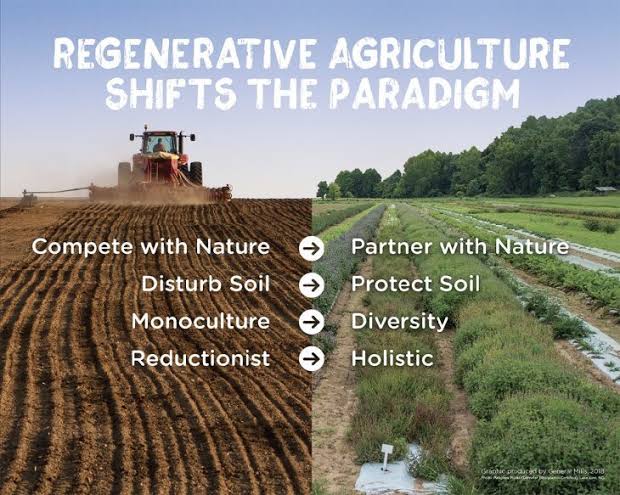 Ishanam2's tweet photo. Holistic production management systems that promote &amp; enhance agro-ecosystem health that are socially, ecologically and economically sustainable are necessary in order to protect our soils while maintaining high productive capacities #SaveSoil @cpsavesoil @SadhguruJV @UNCCD https://t.co/wHgI5wkYwX