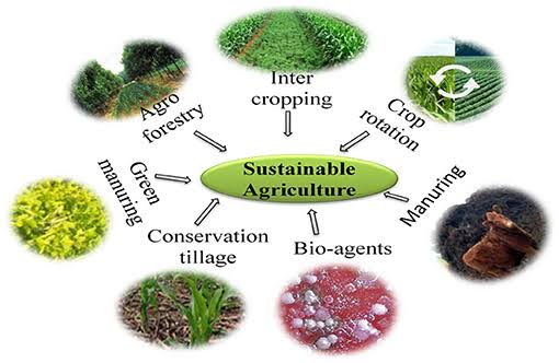 Ishanam2's tweet photo. Holistic production management systems that promote &amp; enhance agro-ecosystem health that are socially, ecologically and economically sustainable are necessary in order to protect our soils while maintaining high productive capacities #SaveSoil @cpsavesoil @SadhguruJV @UNCCD https://t.co/wHgI5wkYwX