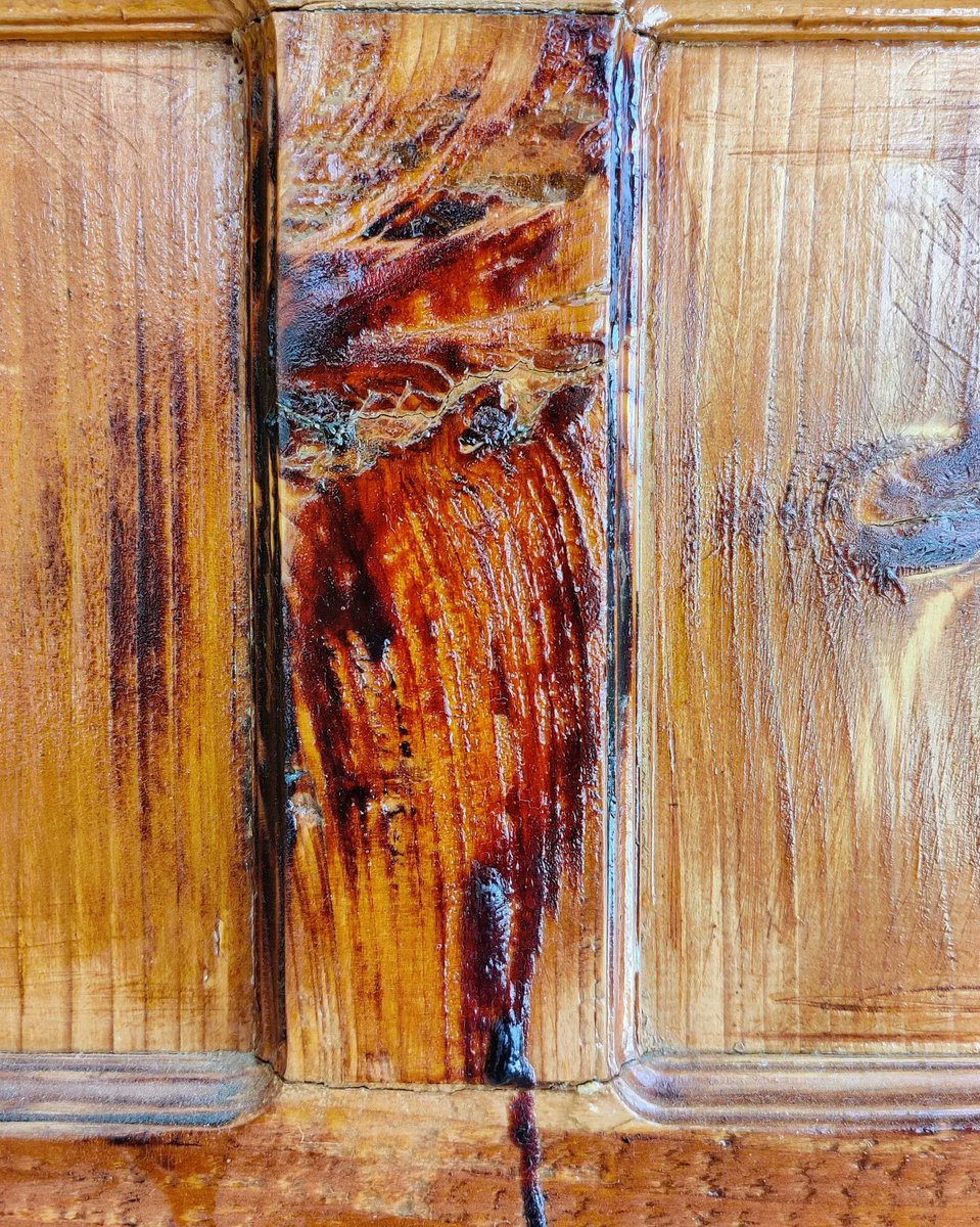 KansaThali's tweet photo. Kelti/Devdar/Cedrus deodara is important part of Pahari architecture and culture. Wood used in Kathkuni architecture is mostly Devdar. It has very unique fragrance and patterns. Devdar is also used as Samidha in Havans.
#wood #devdar #shimla https://t.co/xA8ZCyQpsF