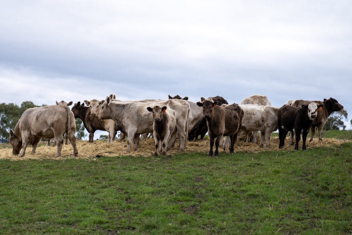 PPSA Chair Simon Maddocks made the case for investment in biosecurity in a recent column published in <a href="/stockjournal/">Stock Journal</a>. Read the column on the PPSA website at bit.ly/3ScYitP