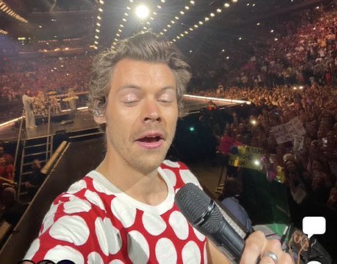 expectation                                reality