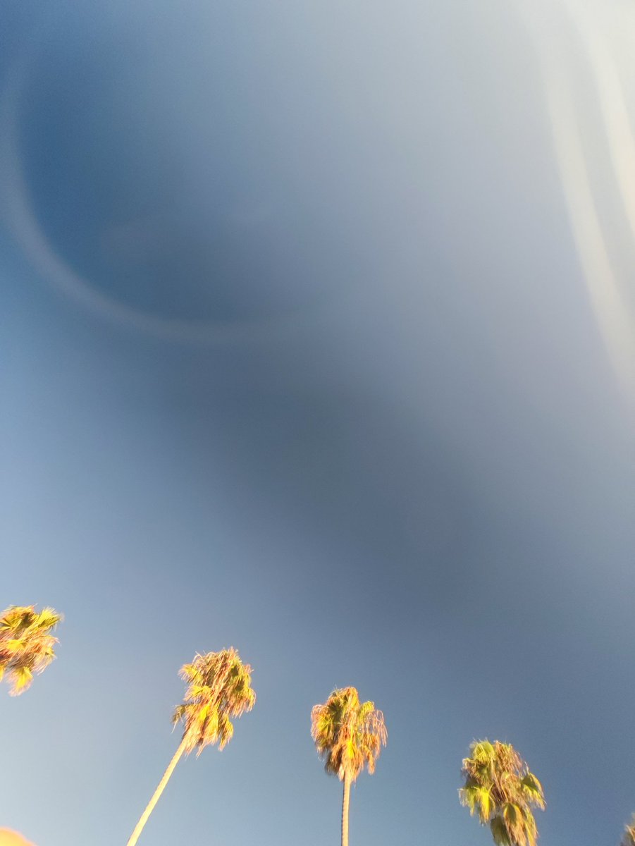 Pengcheng Zhang tweet media