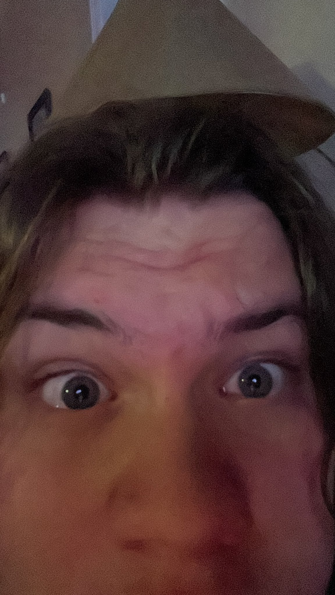 Steel Wool Studios on Twitter "Honeytoast_mp4 https//t.co/M03sEap21e" / Twitter