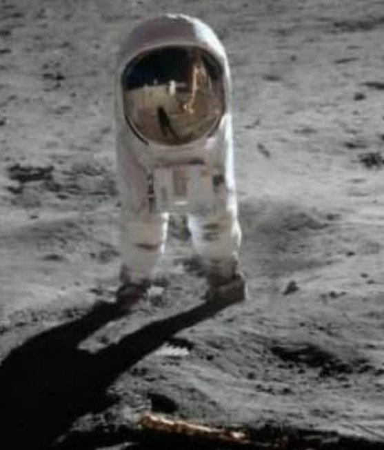 Libs on Social 🫂 (@libsonsocial) on Twitter photo 