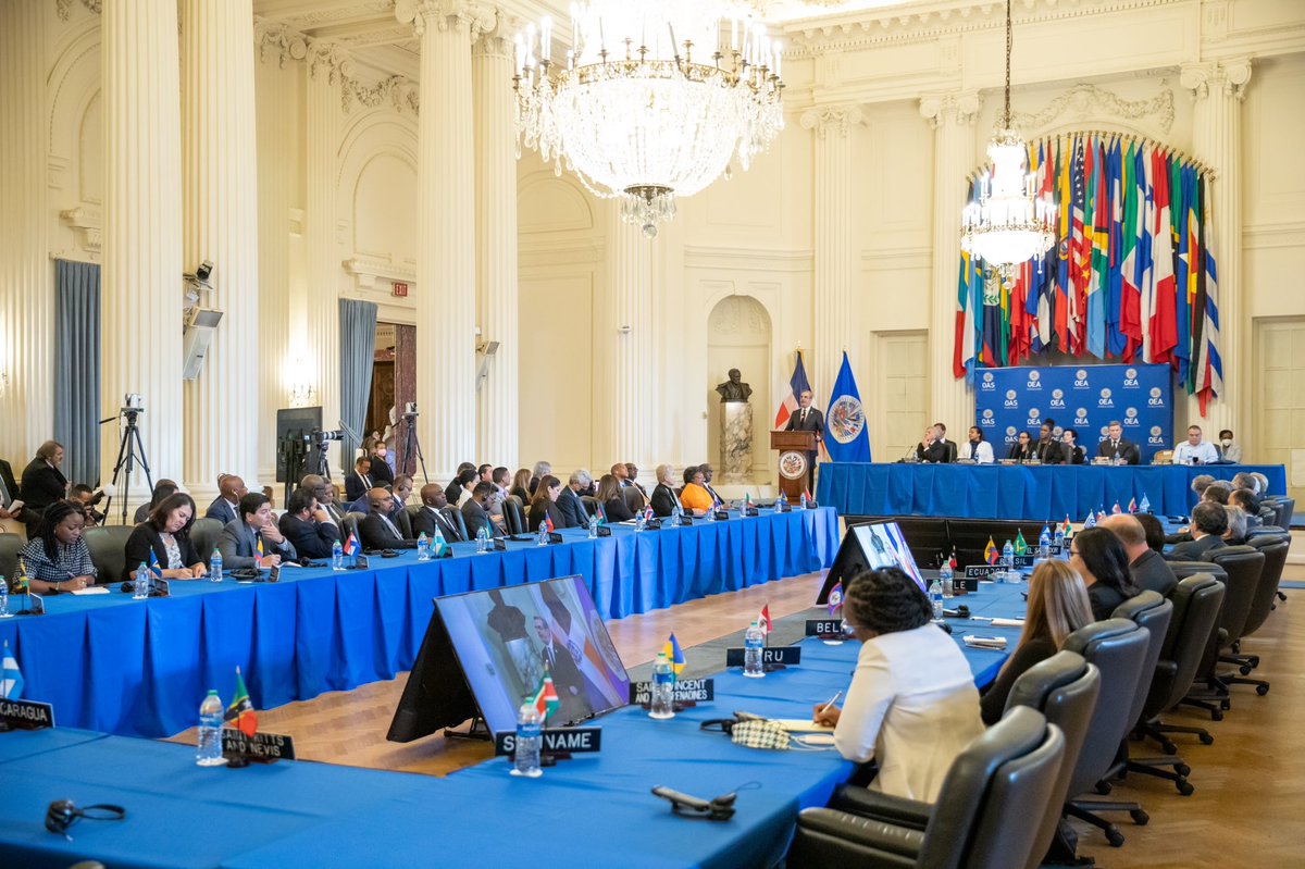 luisabinader's tweet photo. Es un honor hablar ante este Consejo Permanente en representación del Gobierno de la República Dominicana, que desde hace 110 años ha sido testigo de las más importantes conversaciones para mantener la paz y la gobernabilidad en nuestro continente. #LuisEnLaOEA https://t.co/CpUrXUMYY3