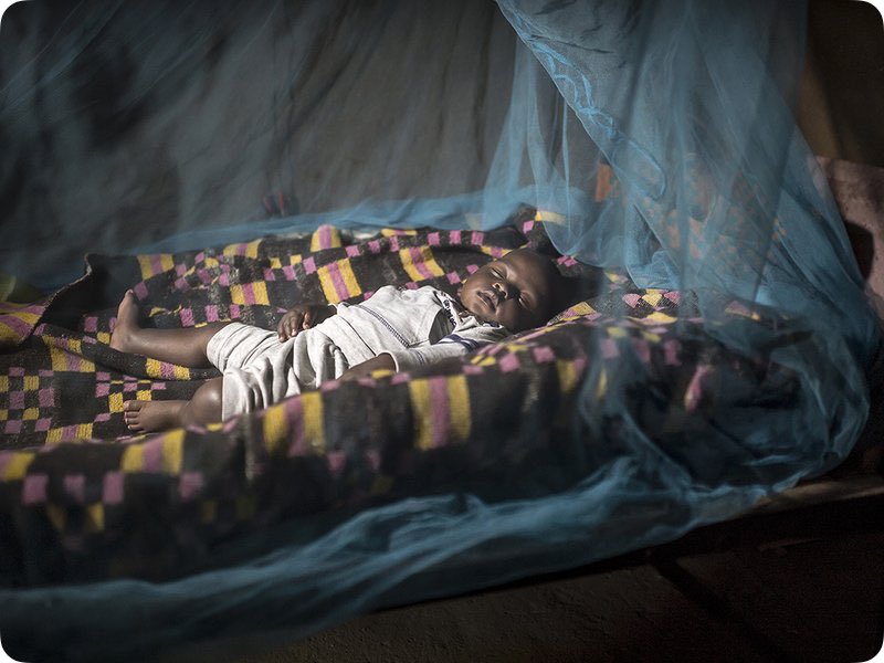 mattgallan's tweet photo. How Does the Global Fund Save Lives? https://t.co/S0N1TKcGkq https://t.co/i2bOTWGrKS
