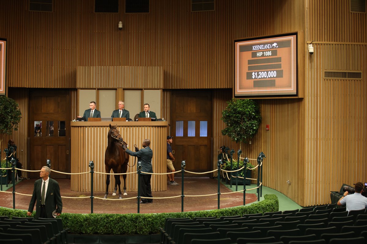keenelandsales's tweet image. Hip 1086 a Gun Runner colt out of MGSW Malibu Player sells for $1.2 million from the @FourStarSales consignment, Mike Ryan signs the ticket. #KeeSept