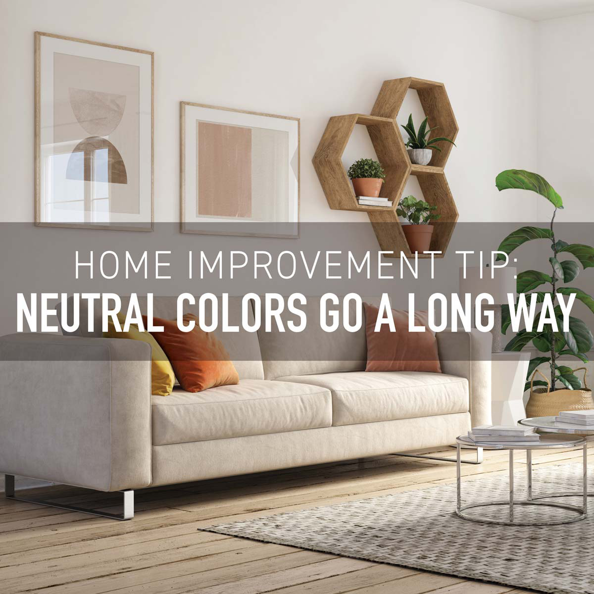 What’s easy on the eyes, yields a good return, and goes with just about everything? Neutral walls! A fresh paint job with colors like these can evoke a sense of calm and well-being. zcu.io/OHnU 

NMLS 32417, CA DRE Bkr 01247594, FL MBR2347, VA 5843, WA MB32417