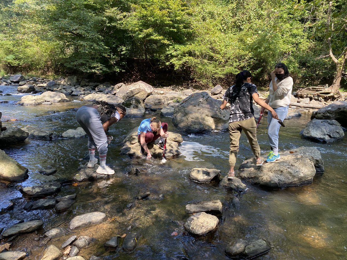 MadeiraScience's tweet photo. Another awesome day out in the field for the #MadeiraScience #FieldEcology class! Students assessed the stream bed health and collected some #macroinvertebrates to practice their identification skills. https://t.co/8Sr4Dbv8PW