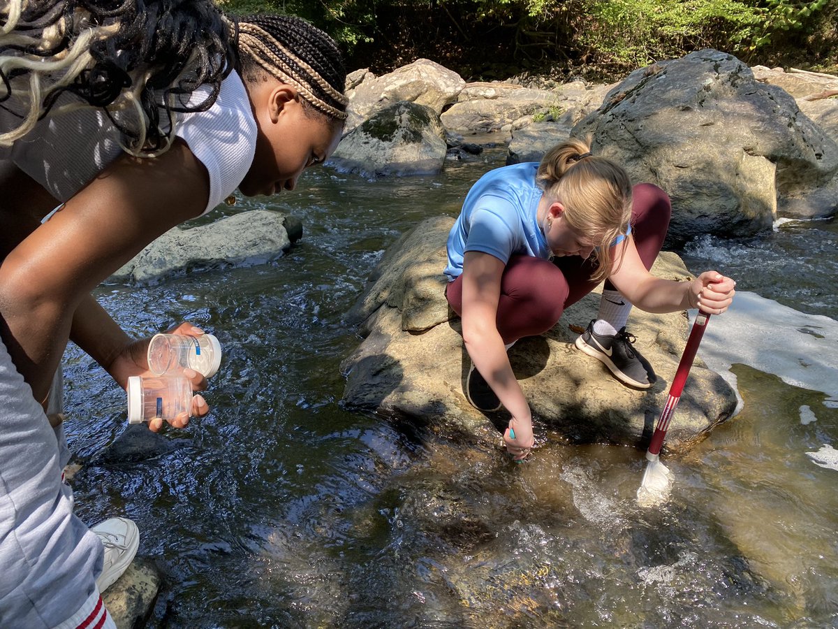MadeiraScience's tweet photo. Another awesome day out in the field for the #MadeiraScience #FieldEcology class! Students assessed the stream bed health and collected some #macroinvertebrates to practice their identification skills. https://t.co/8Sr4Dbv8PW