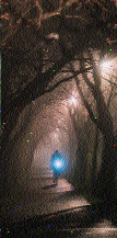 dmoisan's tweet photo. Once again, this week's Shortwave Radiogram images via WINB, 9265 kHz, 2330 UT 15 September. Heard from Salem, Massachusetts, USA. @SWradiogram #SWRadiogram #hfzone https://t.co/e8kuSCWbdd