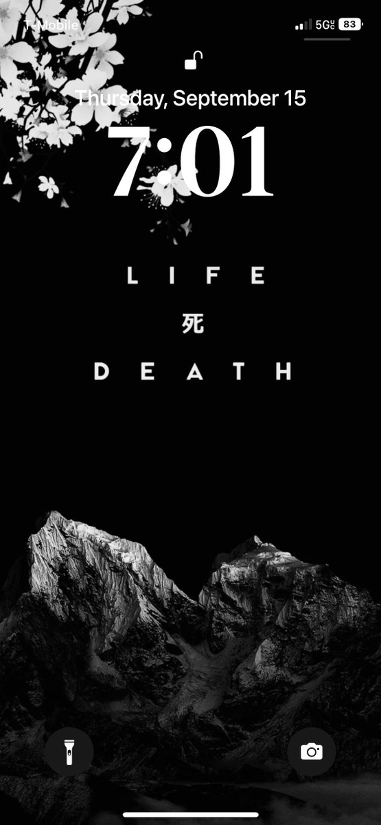 Peter ◢ ◤ tweet media